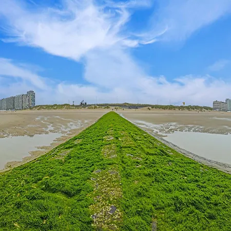 With A Terrace Middelkerke